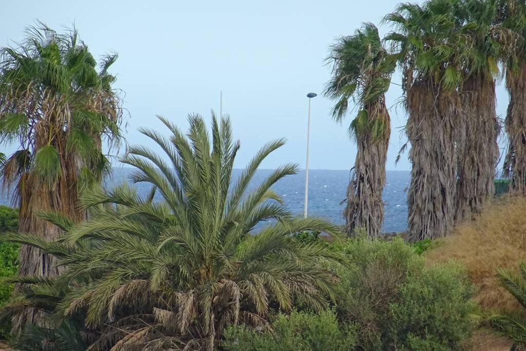 Casa Los Altos Torrevieja - Orihuela Costa Villa Exteriör bild